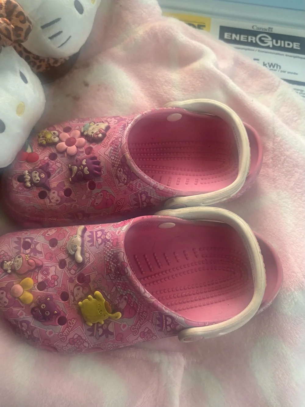 CROCS Pink Kids Water Shoes with Character Jibbitz
